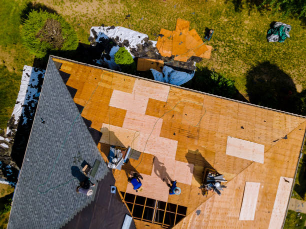 Best Storm Damage Roof Repair  in Swifton, AR
